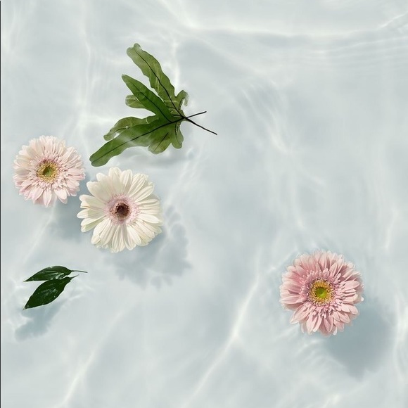 Meet your Posher, Jessie - Picture 1 of 1